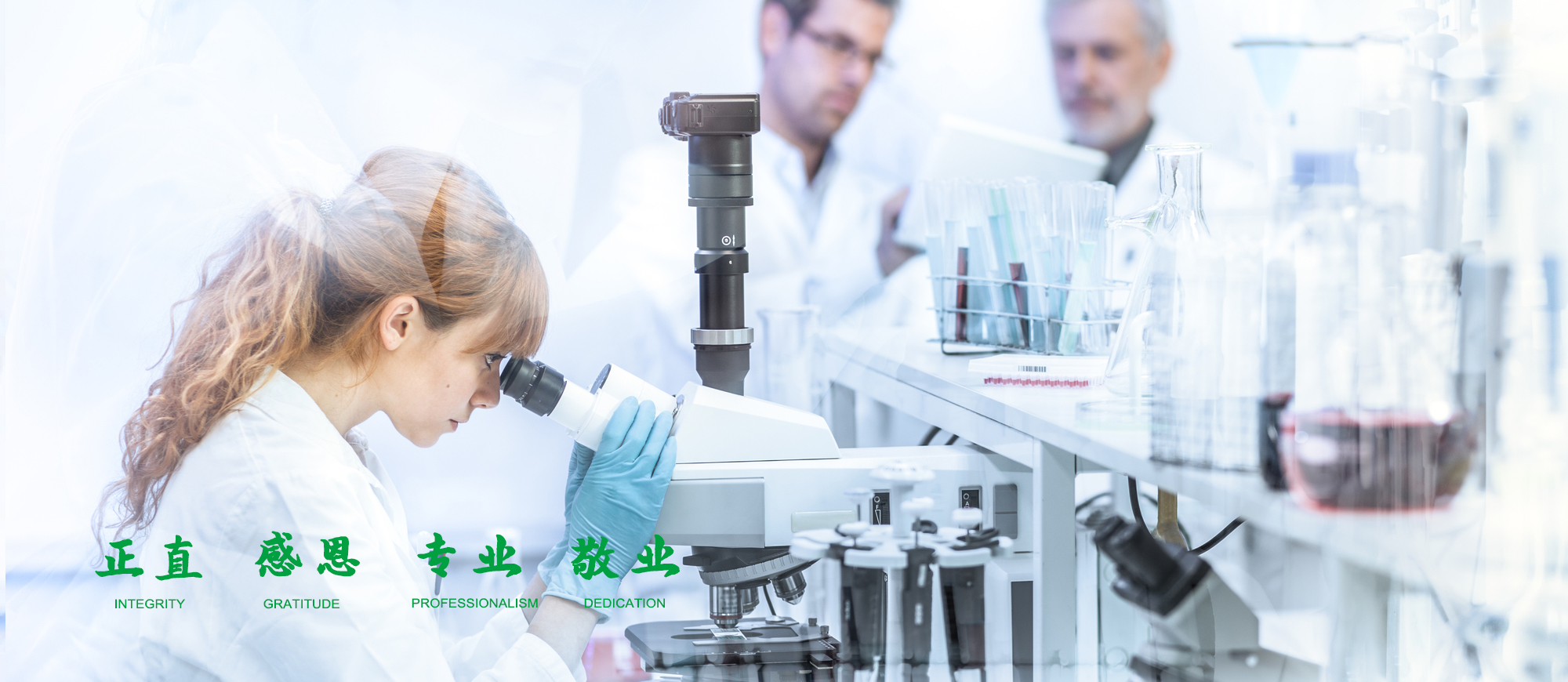 瑞普环保横幅一
