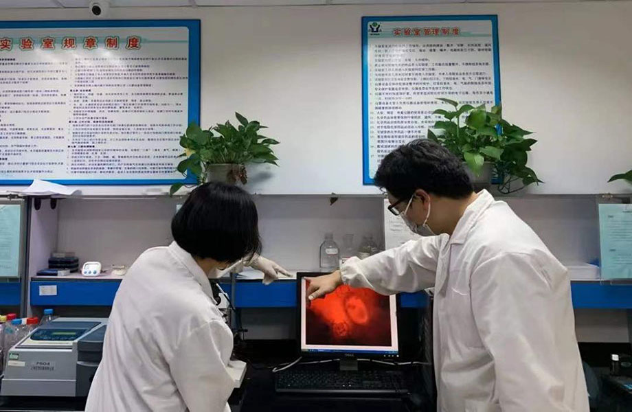 1641439898608972.jpg 副本4.jpg