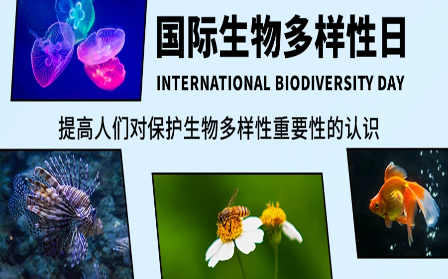 1653443832754902.png 图怪兽_61c721cf9488223326f65d467115ab86_93901.png